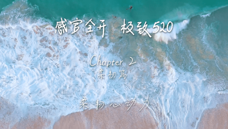 感官全开，极致520