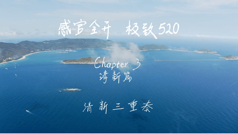 感官全开，极致520
